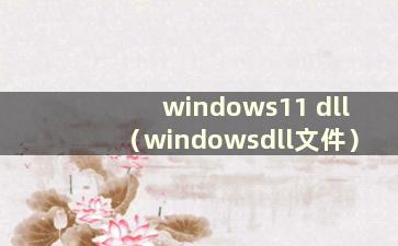 windows11 dll（windowsdll文件）